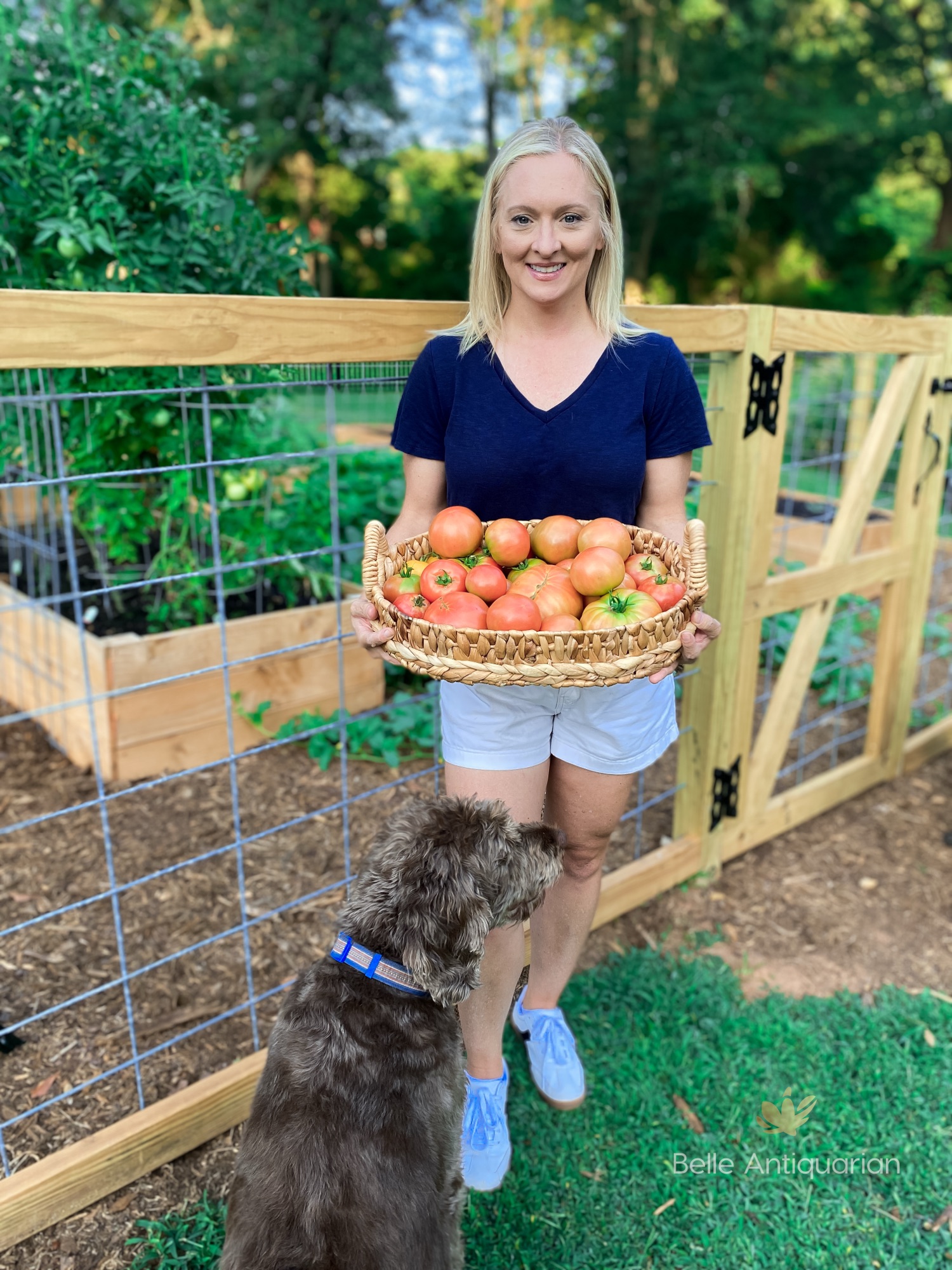 A woman, Abby, stands in front of her garden holding a large basket full of tomatoes. There is a brown dog by her side.